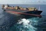 Noua Zeelandă – catastrofă ecologică marină!